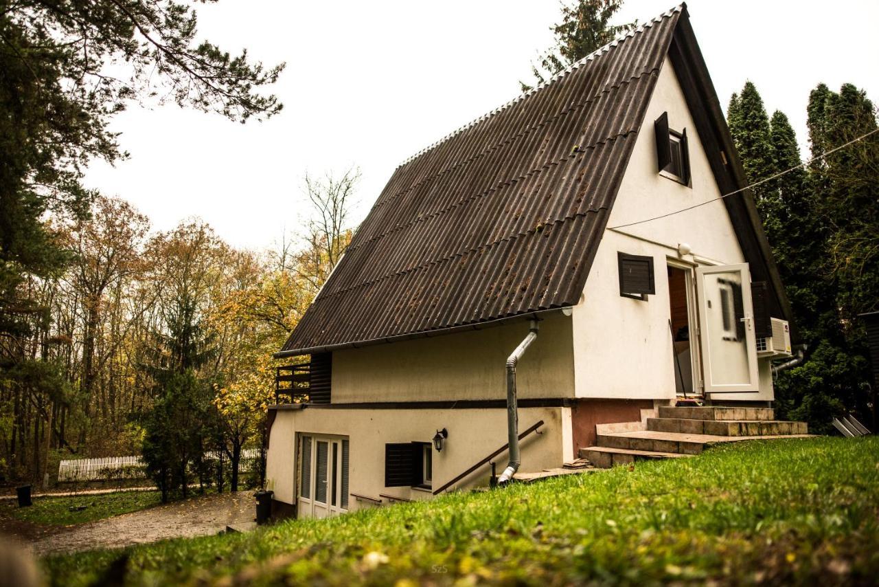 Fenyves Ut 1 Appartement Esztergom Buitenkant foto